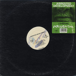 Arrested Development / Mr. Wendal (12inch), Chrysalis 中古レコード通販 大阪