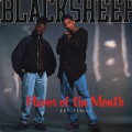 Black Sheep / Flavor Of The Month-1