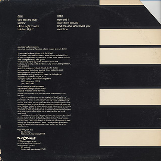 Black Ivory / Then and Now (LP), Panoramic | 中古レコード