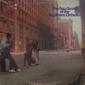 Ray Rivera Orchestra / The Now Sound Of The Ray Rivera Orchestra-1