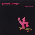 Buckshot Lefonque / Music Evolution