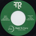 5 Elementz / Right To Carry