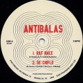 Antibalas / Rat Race