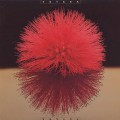 Yutaka / Love Light