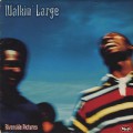 Walkin’ Large / Riverside Pictures (+Instrumental LP)