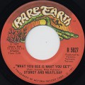 Stoney And Meatloaf / What You See Is What You Get