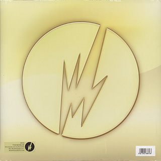 Thundercat Vinyl on Thundercat The Golden Age Of Apocalyps Lp Brainfeeder