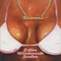 J-Live, Wordsworth, Soulive / Bosoms