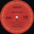 Marvin Gaye / Joy