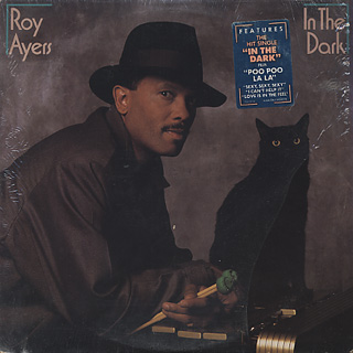 Roy Ayers / In The Dark front