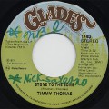 Timmy Thomas / Stone To The Bone
