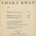 Chaka Khan / Tearin’ Up