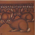 Eric Gale / Multiplication