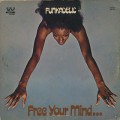 Funkadelic / Free Your Mind…