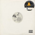 Maestro Fresh Wes / How Many Styles