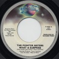 Pointer Sisters / What A Surprise