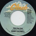 Bobby Caldwell / Open Your Eyes c/w Coming Down From Love