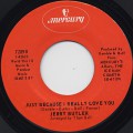 Jerry Butler / Just Because I Really Love You c/w Only The Strong Survive