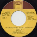 Marvin Gaye / A Funky Space Reincarnation