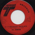 Syl Johnson / Is It Because I’m Black