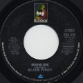 Black Ivory / Mainline c/w Dance