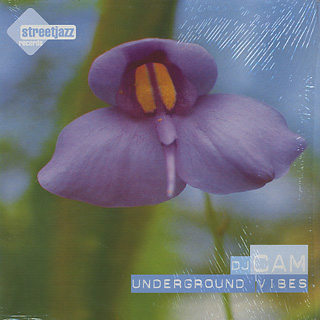 DJ Cam – Underground Vibes | Releases | Discogs