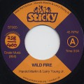Harold Martin And Larry Young Jr. / Wild Fire-1