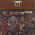 Marvin Gaye / I Want You