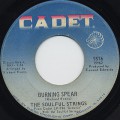 Soulful Strings / Burning Spear