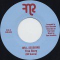 Will Sessions / True Story