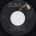 Chicago Gangster / What's Goin' On c/w Windy City Boogie