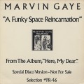 Marvin Gaye / A Funky Space Reincarnation