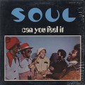SOUL / Can You Feel It