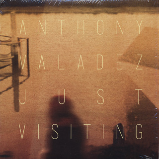 Anthony Valadez / Just Visiting