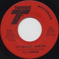 Syl Johnson / Is It Because I’m Black