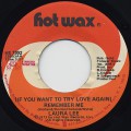 Laura Lee / (If You Want to Try to Love Again)Remember Me