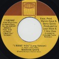 Marvin Gaye / I Want You (45)