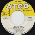 Dee Dee Warwick / She Didn't  Know (She Kept On Talking)