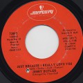 Jerry Butler / Just Because I Really Love You