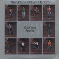Voices Of East Harlem / Can You Feel It