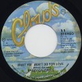 Bobby Caldwell / What You Won’t Do For Love