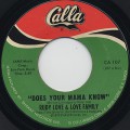 Rudy Love & Love Family / Does Your Mama Know c/w Housewife Blues