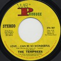 Temprees / Love…Can Be So Wonderful
