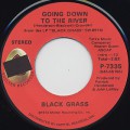 Black Grass / Going Down To The River