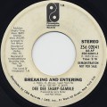 Dee Dee Sharp Gamble / Breaking And Entering