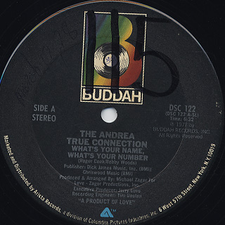 Andrea True Connection / What's Your Name, What's Your Number front
