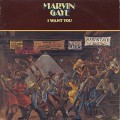 Marvin Gaye / I Want You