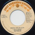 Voices Of East Harlem / Wanted Dead Or Alive c/w Can You Feel It