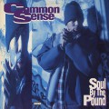 Common Sense / Soul By The Pound