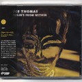 Joe Thomas / Feelin's From Within (CD)